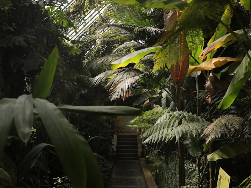 Greenhouse