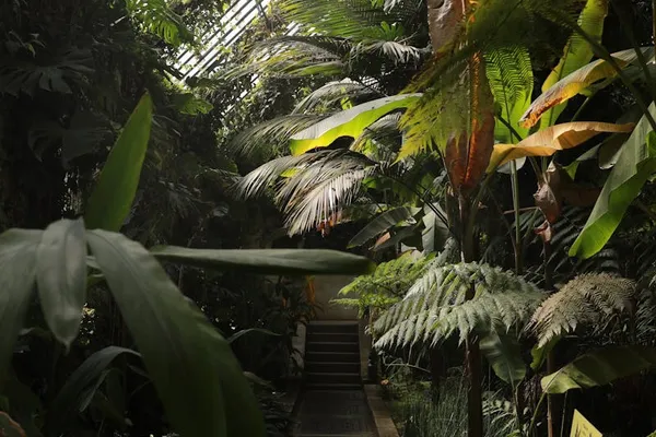 Greenhouse