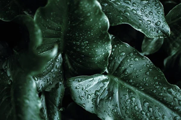 Humidity Hacks