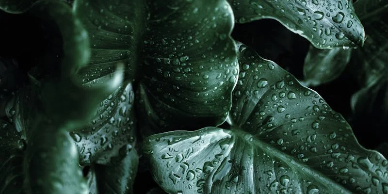 Humidity Hacks