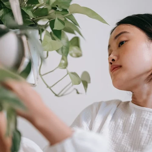 Person with plant