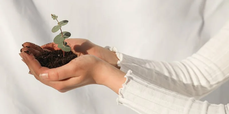 Repotting Step-by-Step